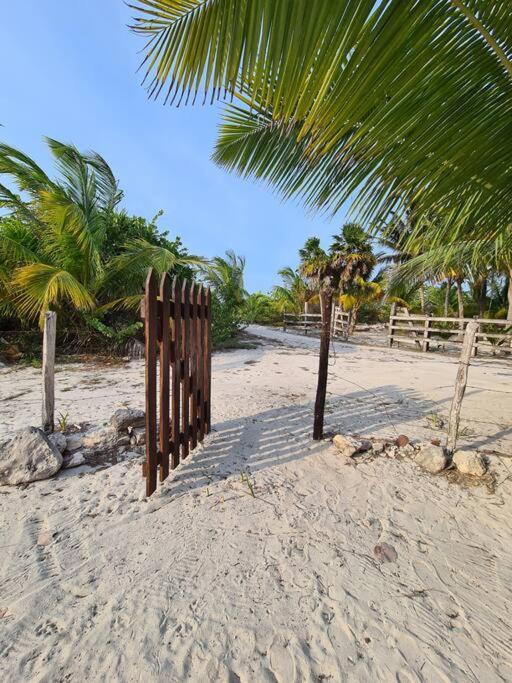 Casa Perla Marina, Pequena Casa Frente A La Playa. Apartment El Cuyo Ngoại thất bức ảnh